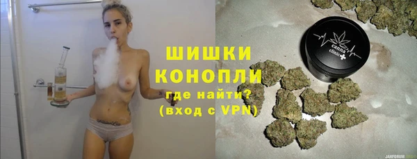 твердый Михайлов