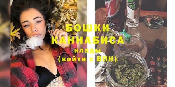 твердый Михайлов