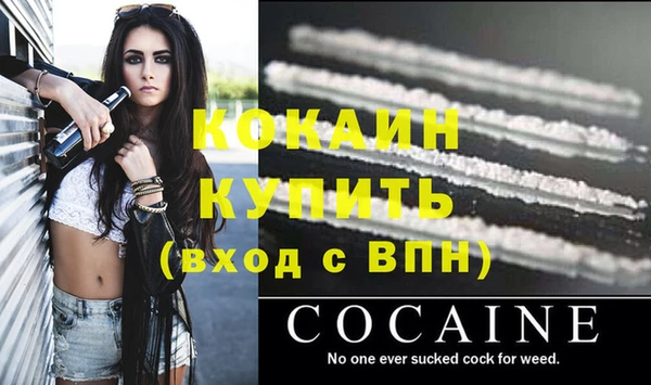 сатива Михайловск