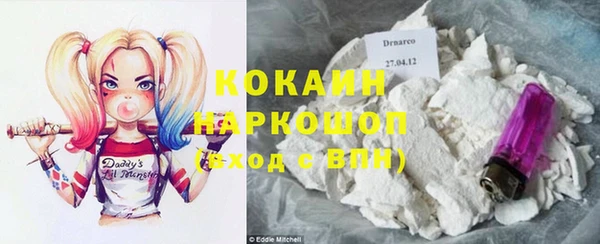 твердый Михайлов